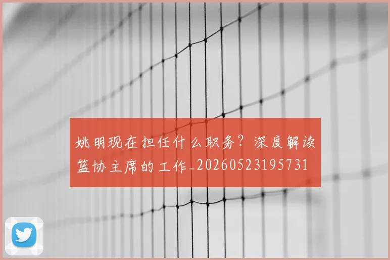 姚明现在担任什么职务?深度解读篮协主席的工作_20260523195731